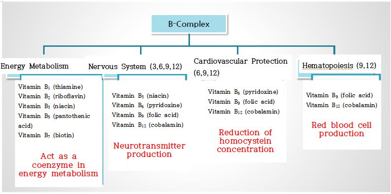 #2-2. Introduction Of Energy Vitamin B-Complex | D&PS